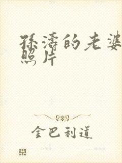 孙涛的老婆李莉照片