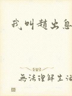 我叫赵出息全集