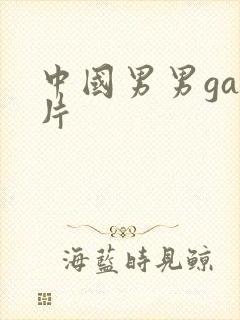 中国男男gay片