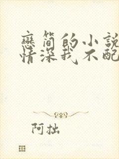恋简的小说你的情深我不配封面