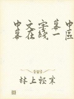 中文字幕中文字幕在线一区