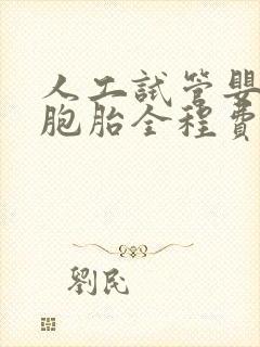 人工试管婴儿双胞胎全程费用多少