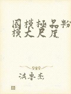 国模极品粉嫩嫩模大尺度