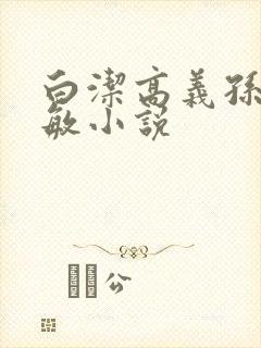 白洁高义孙倩张敏小说