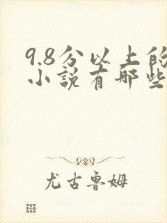 9.8分以上的小说有哪些