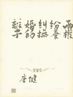 离婚纠纷两个孩子的抚养权如何确定判决