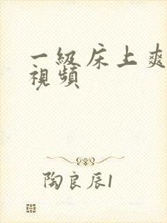 一级床上爽好色视频