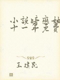 小说暗恋她的第十一年免费看