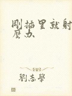 刚插里就射精怎么办封面