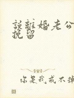 说离婚老公也不挽留封面