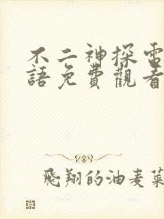 不二神探电影国语免费观看封面