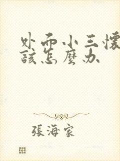 外面小三怀孕了该怎么办封面