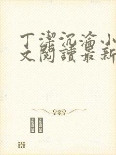 丁洁沉沦小说全文阅读最新章节更新封面