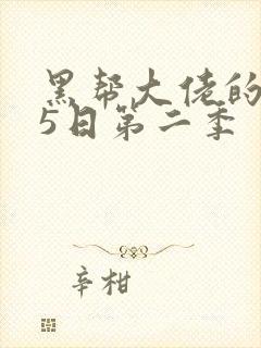 黑帮大佬的365日第二季