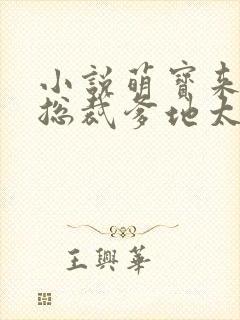 小说萌宝来袭:总裁爹地太难缠