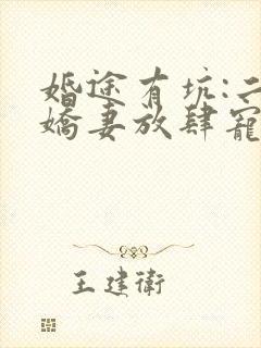 婚途有坑:二嫁娇妻放肆宠小说