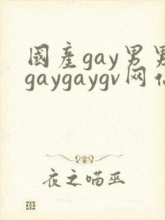 国产gay男男gaygaygv网站
