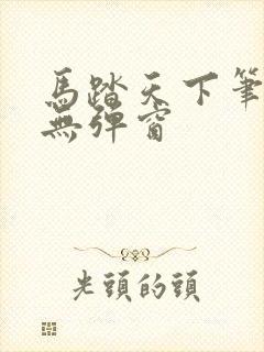 马踏天下笔趣阁无弹窗