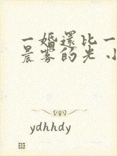 一婚还比一婚高晨雾的光 小说封面