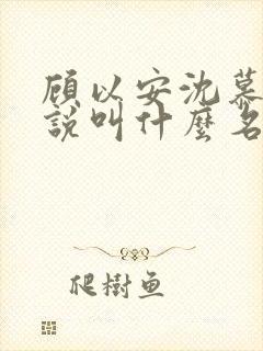 顾以安沈慕梨小说叫什么名字封面