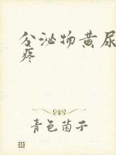 分泌物黄尿道口疼