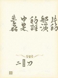 梦中的那片海段磊是谁演的封面