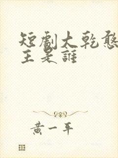 短剧大乾憨婿男主是谁