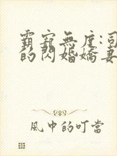 霸宠无度:司少的闪婚娇妻