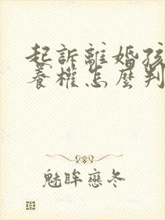 起诉离婚孩子抚养权怎么判