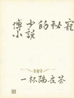 傅少的秘宠娇妻小说