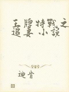 王牌特战之权少追妻 小说