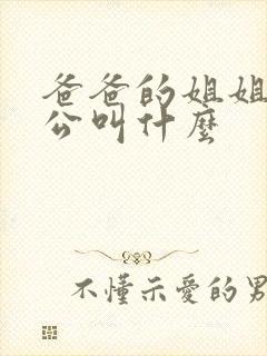 爸爸的姐姐的老公叫什么