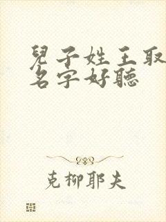 儿子姓王取什么名字好听