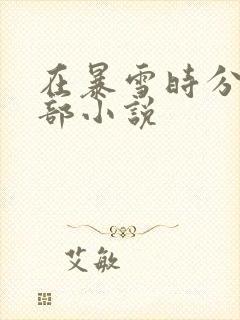 在暴雪时分是哪部小说封面