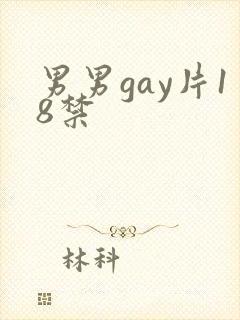 男男gay片18禁