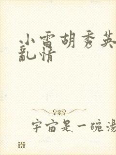 小雷胡秀英乡村乱情