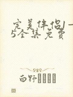 完美伴侣1—45全集免费封面