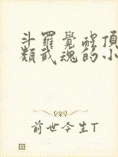 斗罗觉醒顶级剑类武魂的小说