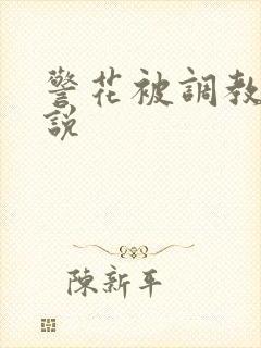 警花被调教的小说