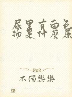 尿里有白色沉淀物是什么原因