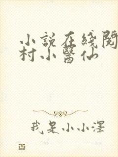 小说在线阅读乡村小医仙