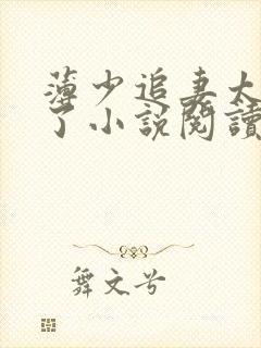 薄少追妻太上头了小说阅读