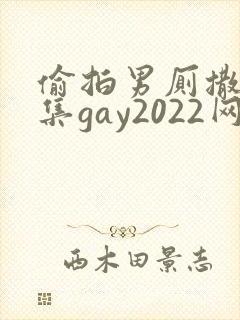 偷拍男厕撒尿合集gay2022网站