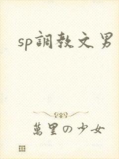 sp调教文男男