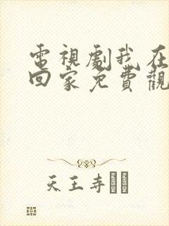 电视剧我在等你回家免费观看全集高清