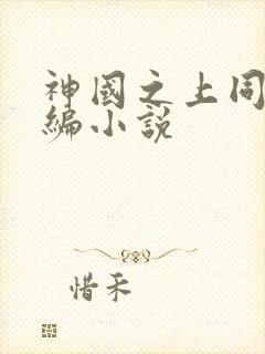 神国之上同人改编小说封面