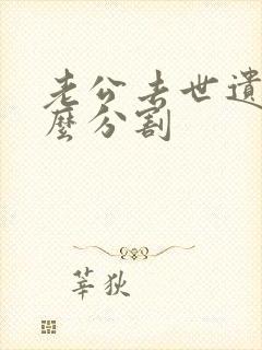 老公去世遗产怎么分割