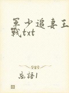 军少追妻王牌特战txt