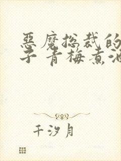 恶魔总裁的小妻子 青梅煮酒