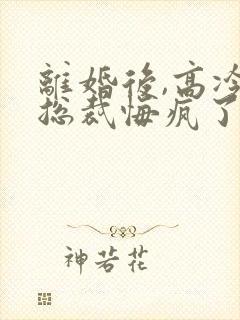 离婚后,高冷女总裁悔疯了下载全本封面